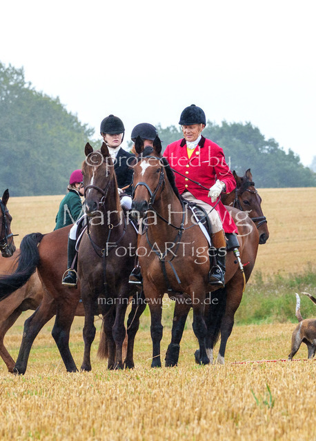 Jagd Kletkamp 26-02809_MarinaHewig | Fotografie, FotoArt, PferdesportArt, Pferdesportfotografie, Landschaftsfotografie, Reisefotografie, Reise, Pferde - Realisiert mit Pictrs.com
