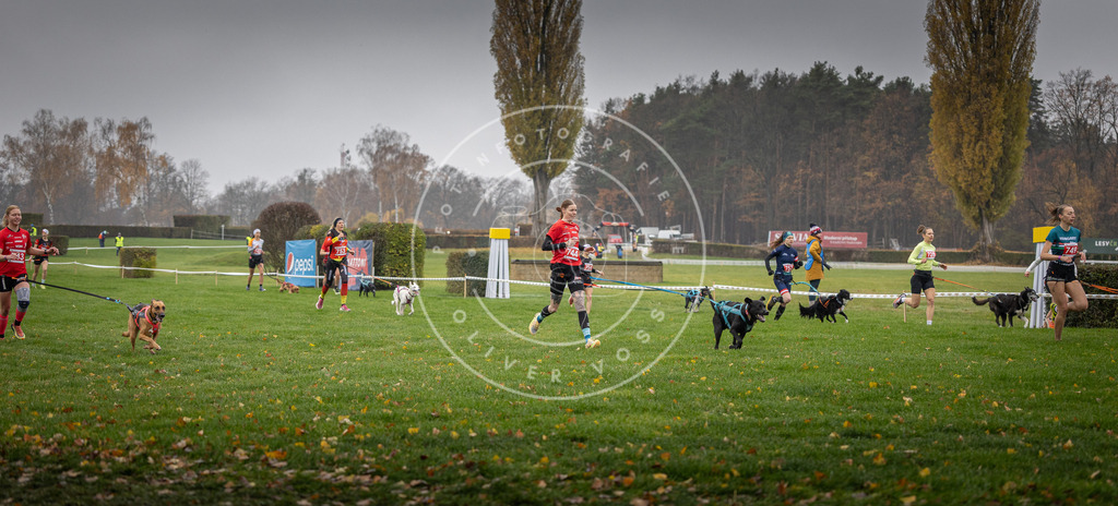 CaniXpix_DV3A8863 | Hundefotografie, Tierfotograf, Pfotenfotografie, Fotoshooting Hund, Hunde Portrait, Hundesport, Hundeportraits, Heideshooting, Hunde, Sportfotograf, Hundefotograf, Turnierhundsport, THS,  - Realisiert mit Pictrs.com