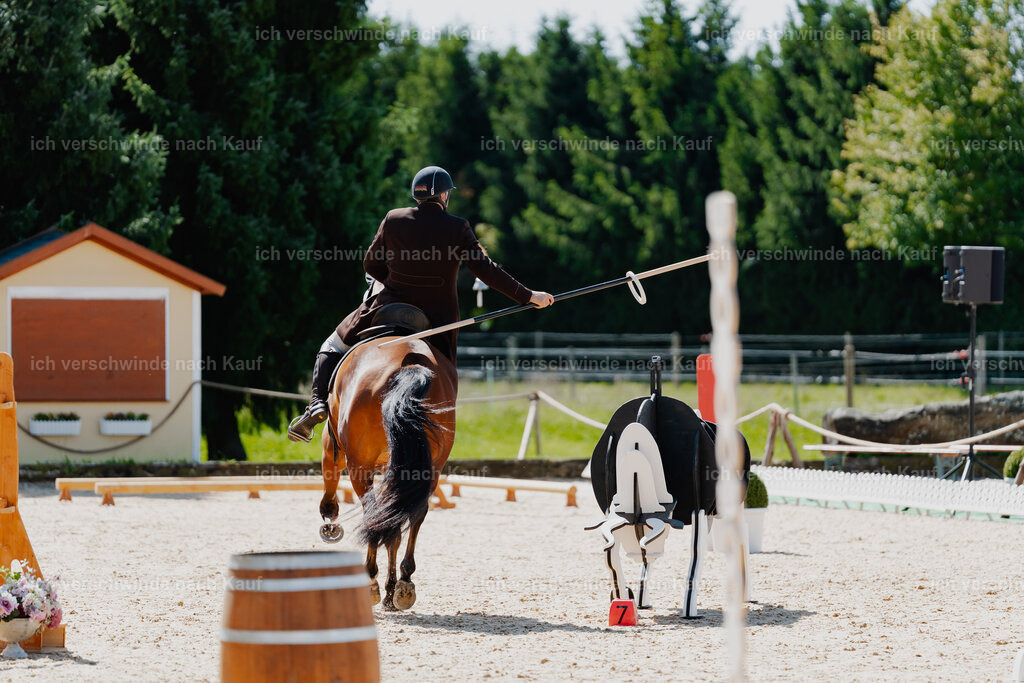 Gernot25_FHC2025-08309 | working equitationturnier fotograf videograf stoibphotography marixx film working equitation deutschland reitsport turnierfotografie eventfotografie equestrian events