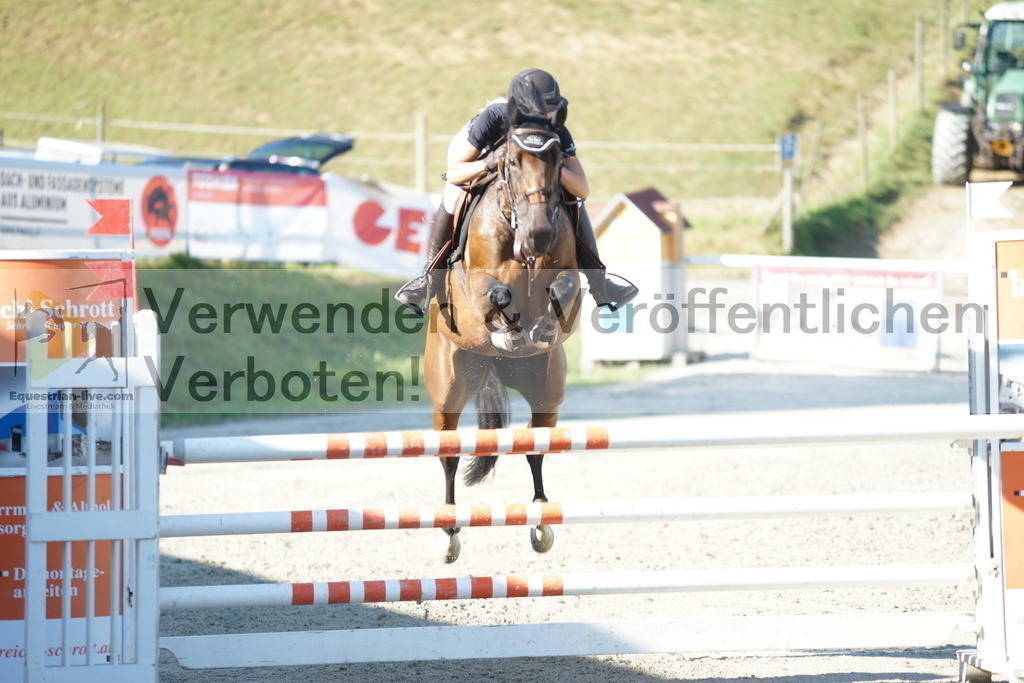 DSC01398 | equestrian-live-com