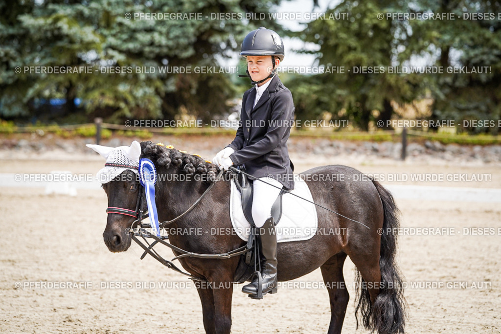 DSC02886 | Pferdegrafie