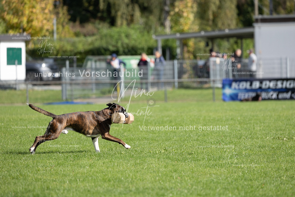 _16A6889 | Einzigartige Fotos von Hunden & Menschen –Actionfotos, Portraits, Vereinsaufnahmen & Paarshootings – authentisch, lebendig & mit Herz.