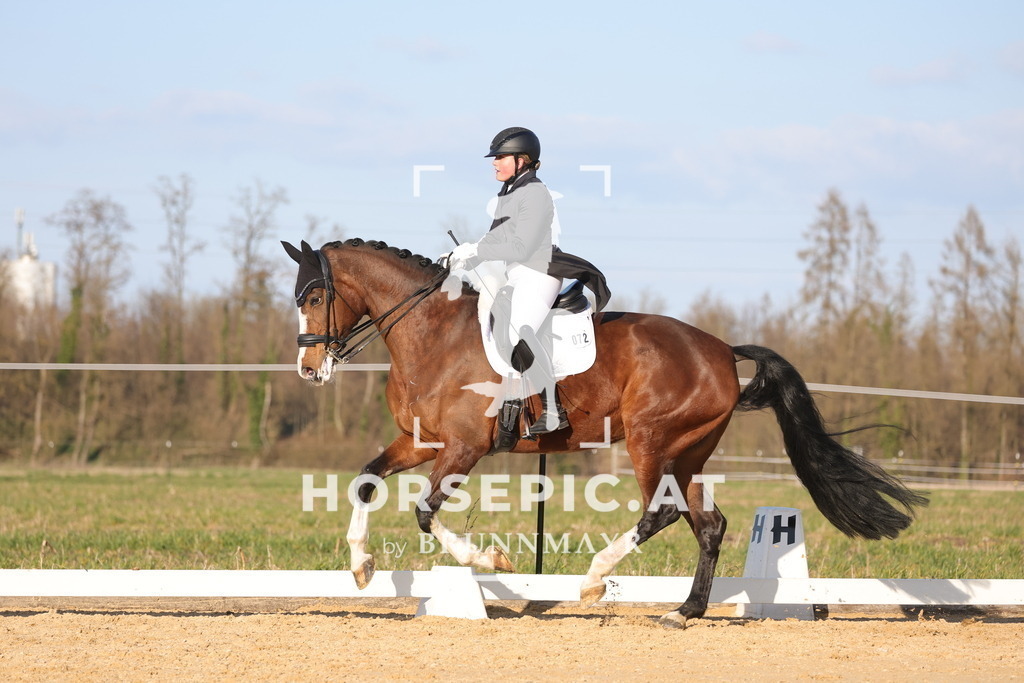 0P6A8119 | Willkommen bei Brunnmayr - Design & Fotografie – Ihrem Spezialisten für Reitturniere und Pferdeveranstaltungen in Oberösterreich, Salzburg und Bayern! Seit über 17 Jahren sind wir leidenschaftlich dabei.