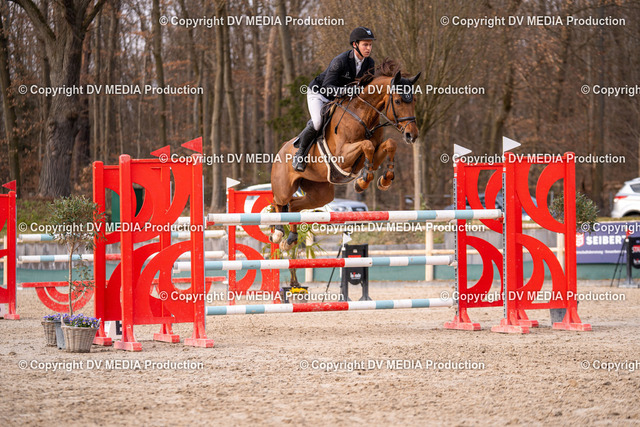 Kranichstein Tag 2-2250 | dv-media-shop - Realized with Pictrs.com