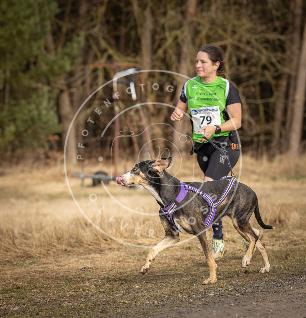 DV3A3769 | Hundefotografie, Tierfotograf, Pfotenfotografie, Fotoshooting Hund, Hunde Portrait, Hundesport, Hundeportraits, Heideshooting, Hunde, Sportfotograf, Hundefotograf, Turnierhundsport, THS,  - Realisiert mit Pictrs.com