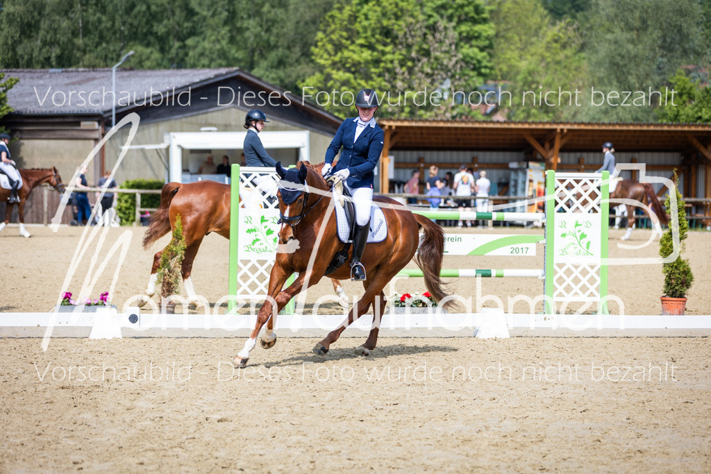 Donop24-L-Dre-008 | MomenTaufnahmen Pferdesportfotos