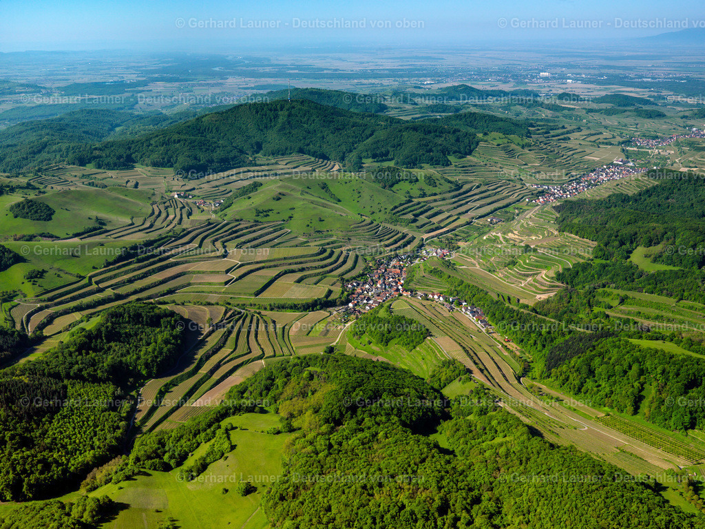 3096249 | Terassenweinberge, Kaiserstuhl bei Schelingen