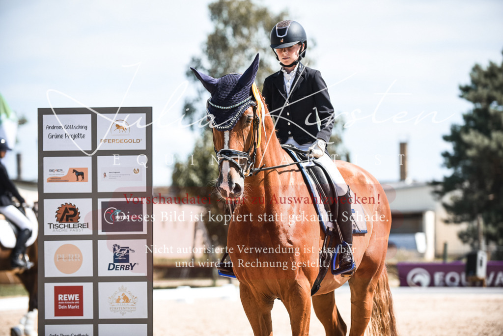 DSC_8776 | Pferde- und Turnierfotografie in Westsachsen. Pferdeportraits, Auftragszeichnungen und intuitive Kunst.