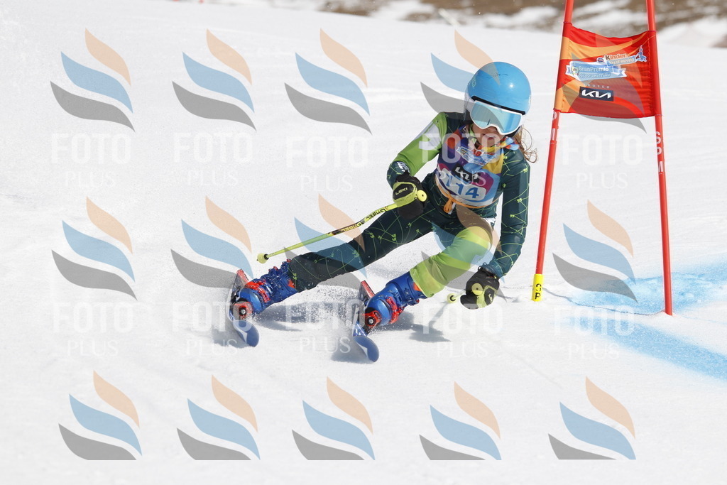 _U3G0586 | holidayphoto