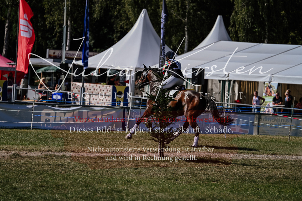 DSC_1555 | Pferde- und Turnierfotografie in Westsachsen. Pferdeportraits, Auftragszeichnungen und intuitive Kunst.