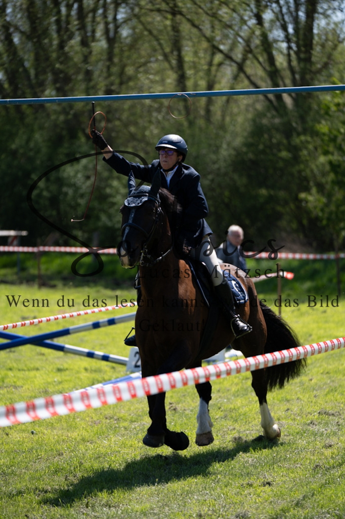 A7V01095 | Pferdefotograf