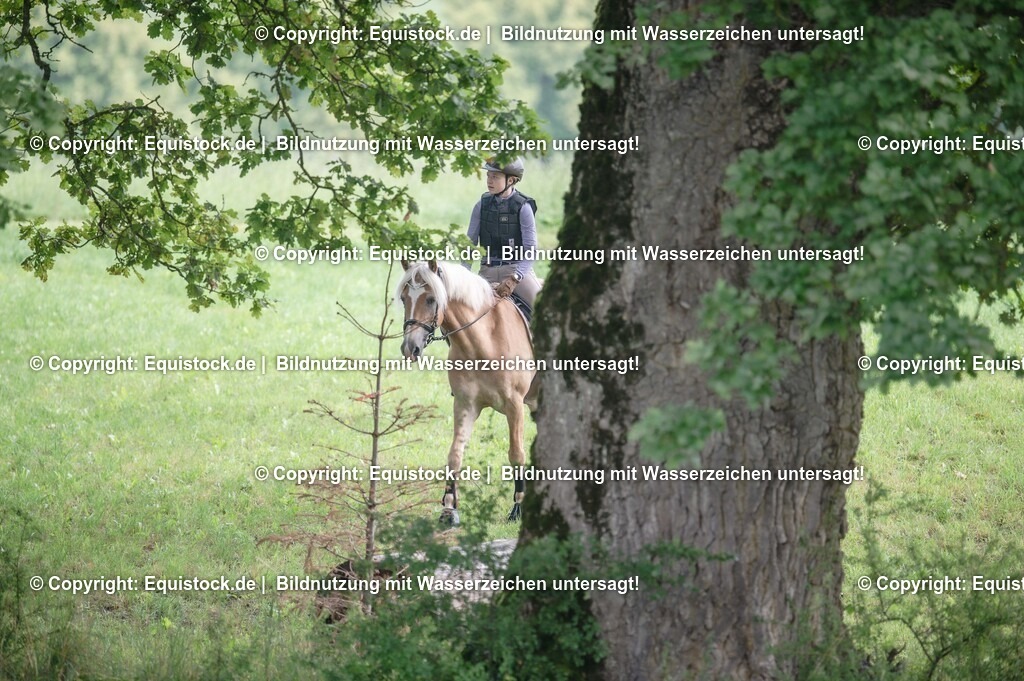 20250726_Vielseitigkeitslehrgang-Marbach_0112 | Foto: Thomas Hartig