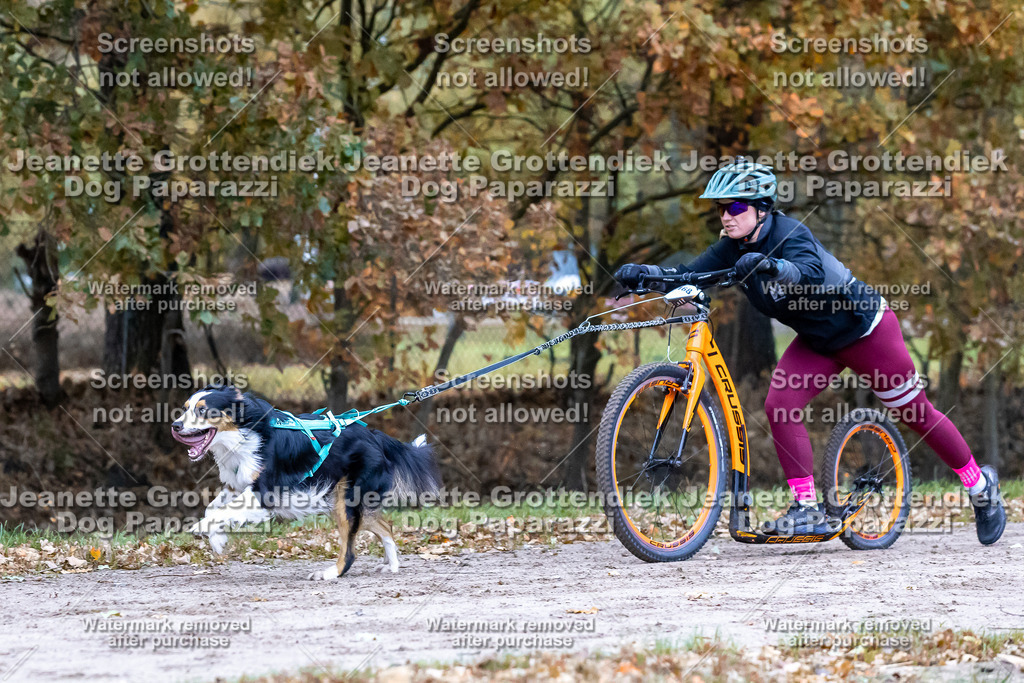 Dog Paparazzi - SD CaniX Championship 2025-187 | Dog Paparazzi Jeanette Grottendiek Fotografie & Videografie - Realisiert mit Pictrs.com