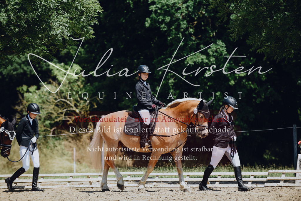 DSC_2095 | Pferde- und Turnierfotografie in Westsachsen. Pferdeportraits, Auftragszeichnungen und intuitive Kunst.