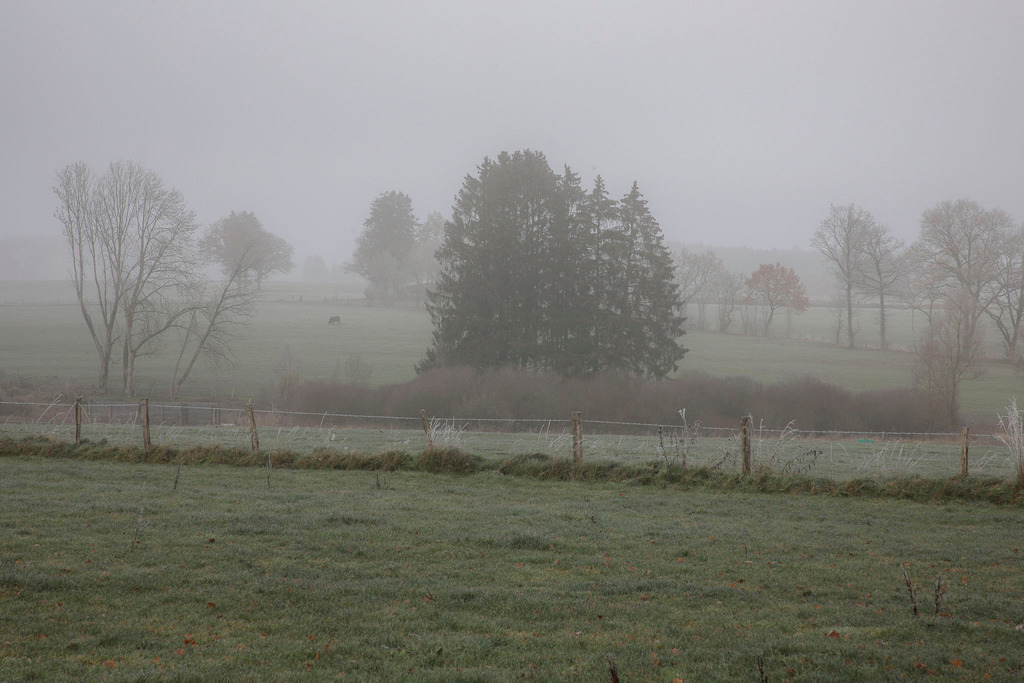 Raureif_Weisten_101222_14 | Bildergalerie von Sport-Ereignissen aber auch von weiteren spannenden Dingen - nicht nur vom Niederrhein. In Anlehnung an den bekannten Spruch von Hanns Dieter Hüsch heißt das Motto: "Niederrhein ist überall".  - Realisiert mit Pictrs.com