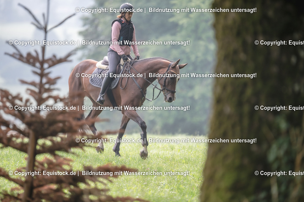 20250726_Vielseitigkeitslehrgang-Marbach_0013 | Foto: Thomas Hartig