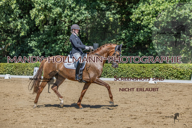 15.8.25 D1  DRE L (289 von 405) | mandyhollmannphotographie