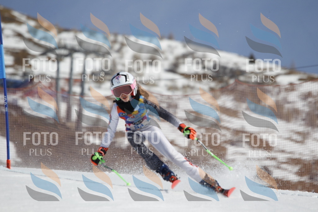 _U3G0229 | holidayphoto