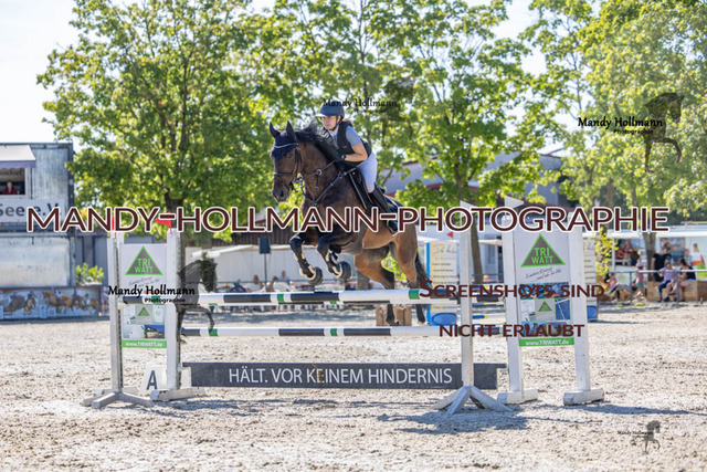 26-7-24 Amateur L-191 | mandyhollmannphotographie