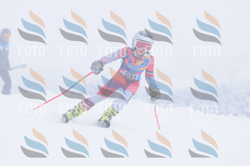 C2423 | holidayphoto