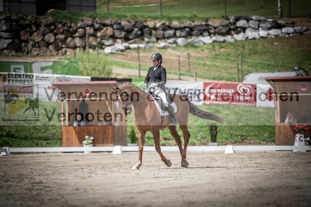 DSC_2524 | equestrian-live-com