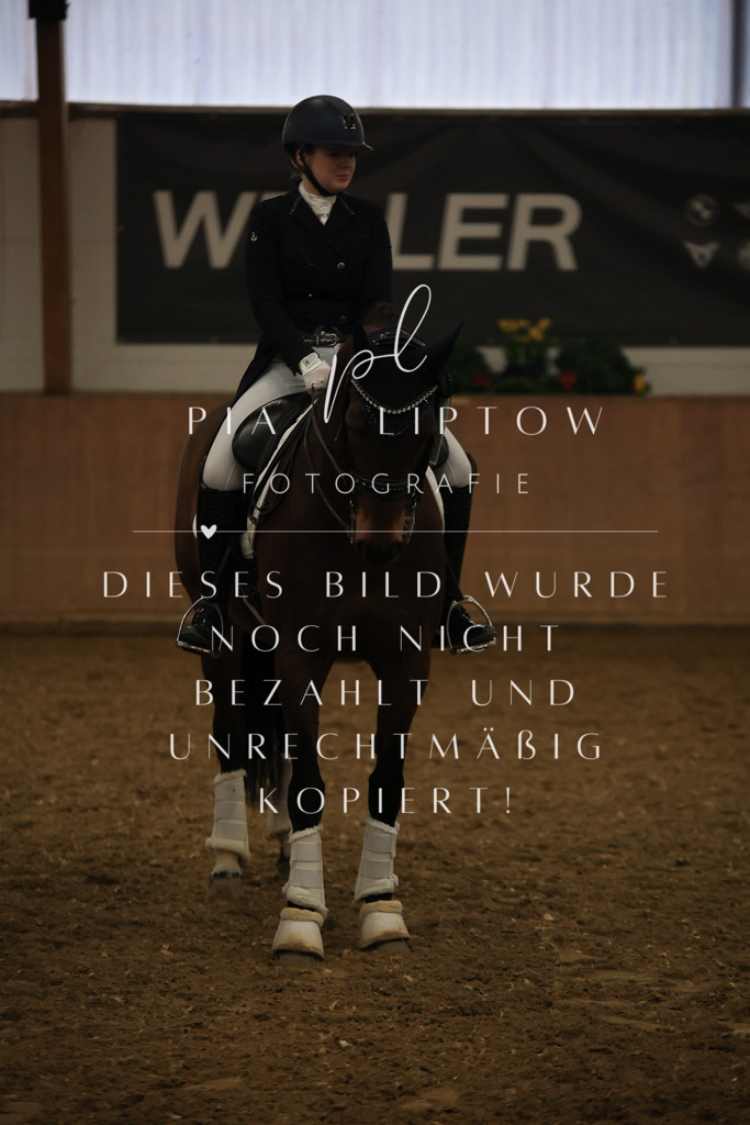 IMGT6486 | pl-fotografie