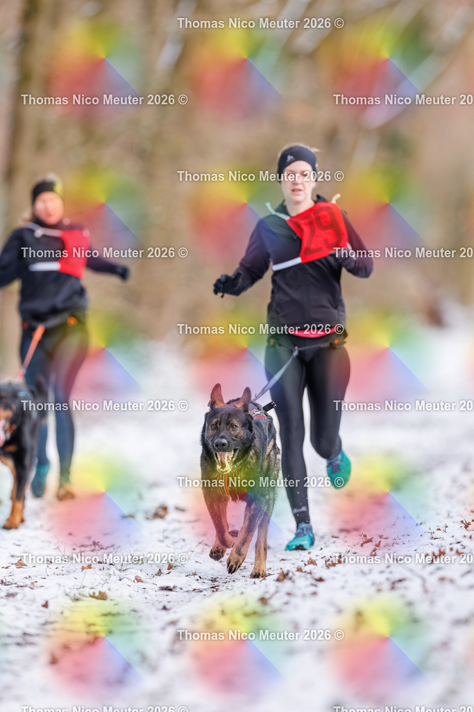 Thomas_Nico_Meuter(C)_223A8509 | Bild von Thomas Nico Meuter - Realisiert mit Pictrs.com