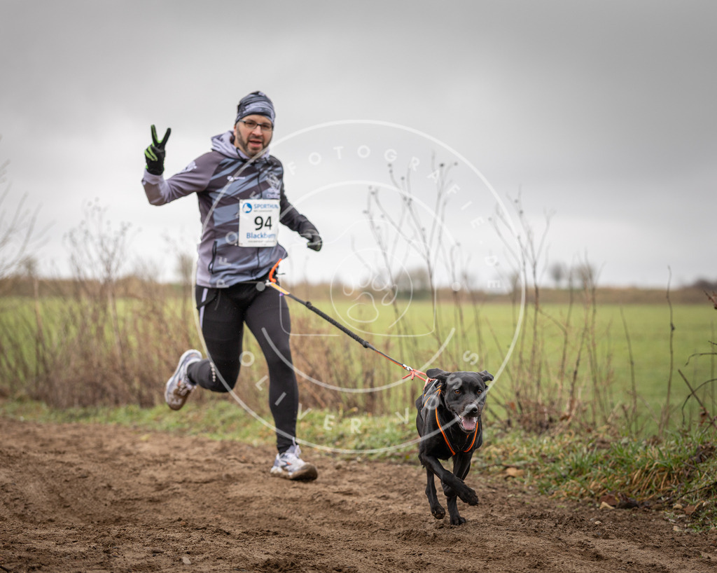 DV3A0067 | Hundefotografie, Tierfotograf, Pfotenfotografie, Fotoshooting Hund, Hunde Portrait, Hundesport, Hundeportraits, Heideshooting, Hunde, Sportfotograf, Hundefotograf, Turnierhundsport, THS,  - Realisiert mit Pictrs.com