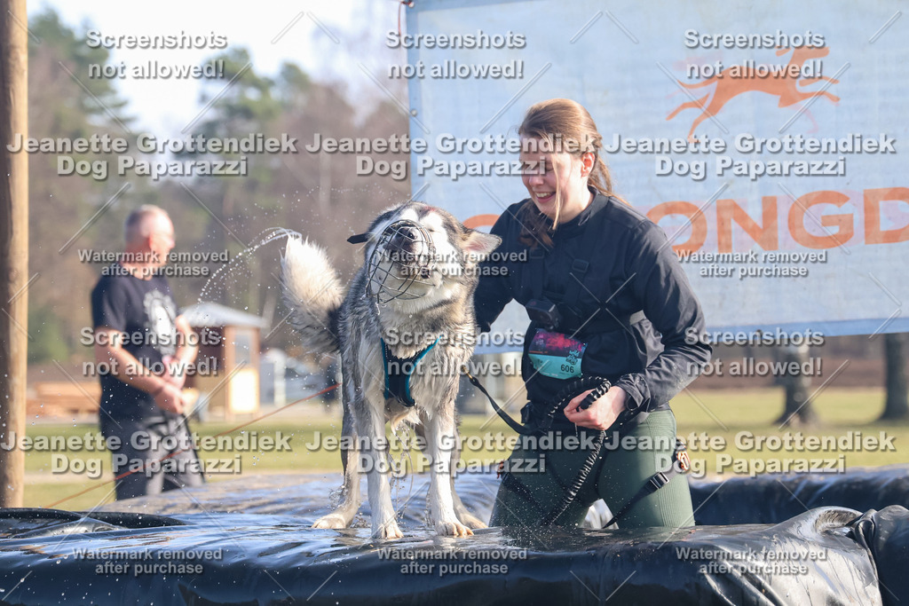 Dog Paparazzi - Strongdog North Mrz26-947 | Dog Paparazzi Jeanette Grottendiek Fotografie & Videografie - Realisiert mit Pictrs.com