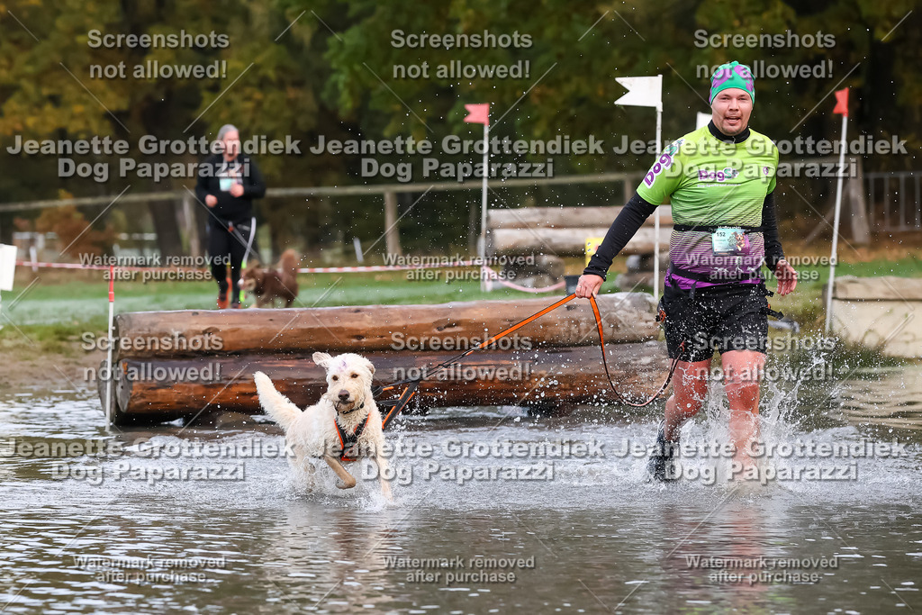 Dog Paparazzi - Strongdog 10-25-6289 | Dog Paparazzi Jeanette Grottendiek Fotografie & Videografie - Realisiert mit Pictrs.com