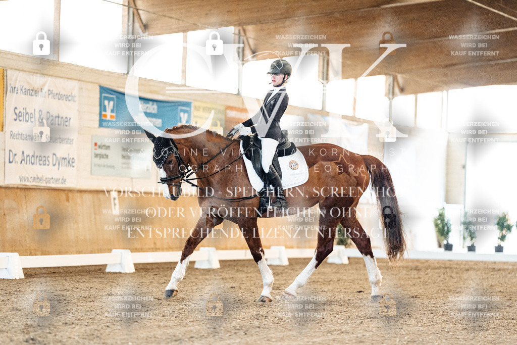 CK906772 | Turnierfotografie Pferdefotografie Trier Rheinland-Pfalz Pferdesport Reitsport Tierfotografie Sportfotografie Pferdevideo Pferdevideografie Equestrianvideography equestrianphotography  - Realisiert mit Pictrs.com
