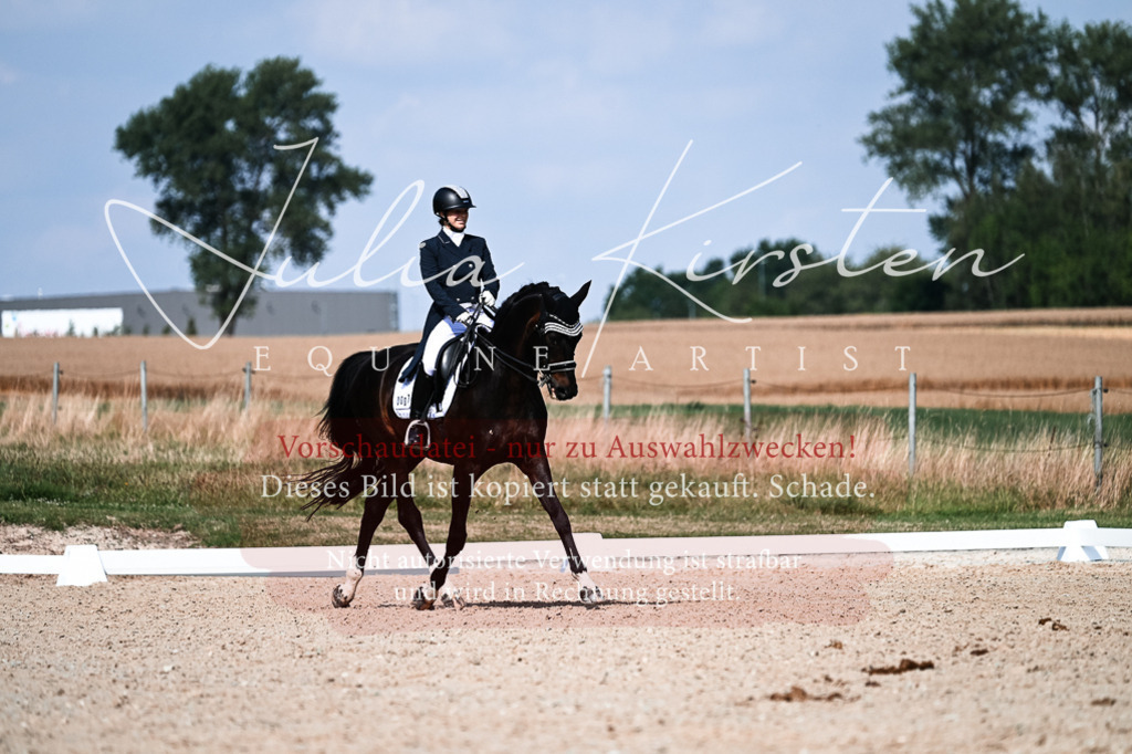 DSC_3298 | Pferde- und Turnierfotografie in Westsachsen. Pferdeportraits, Auftragszeichnungen und intuitive Kunst.