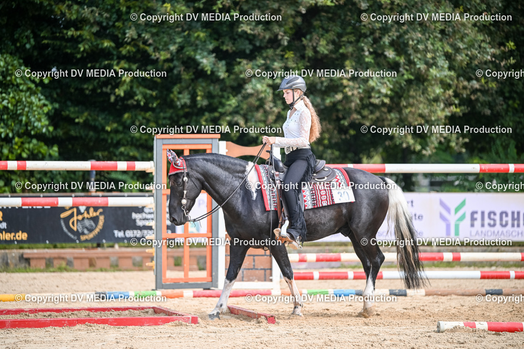 ZS2_3522 | dv-media-shop - Realisiert mit Pictrs.com