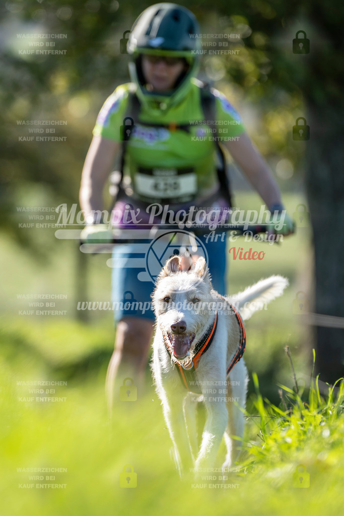 MompixPhotography_20TSB_E3_DS1-72 | PayLife