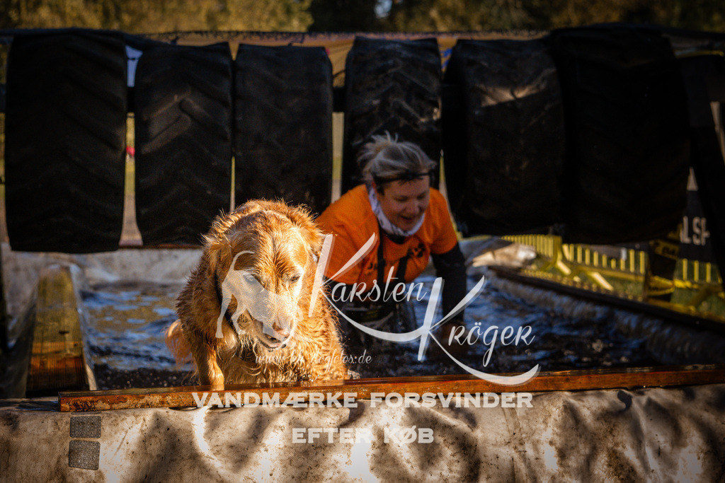 0927_ZZ91084 | kk-dogfotos