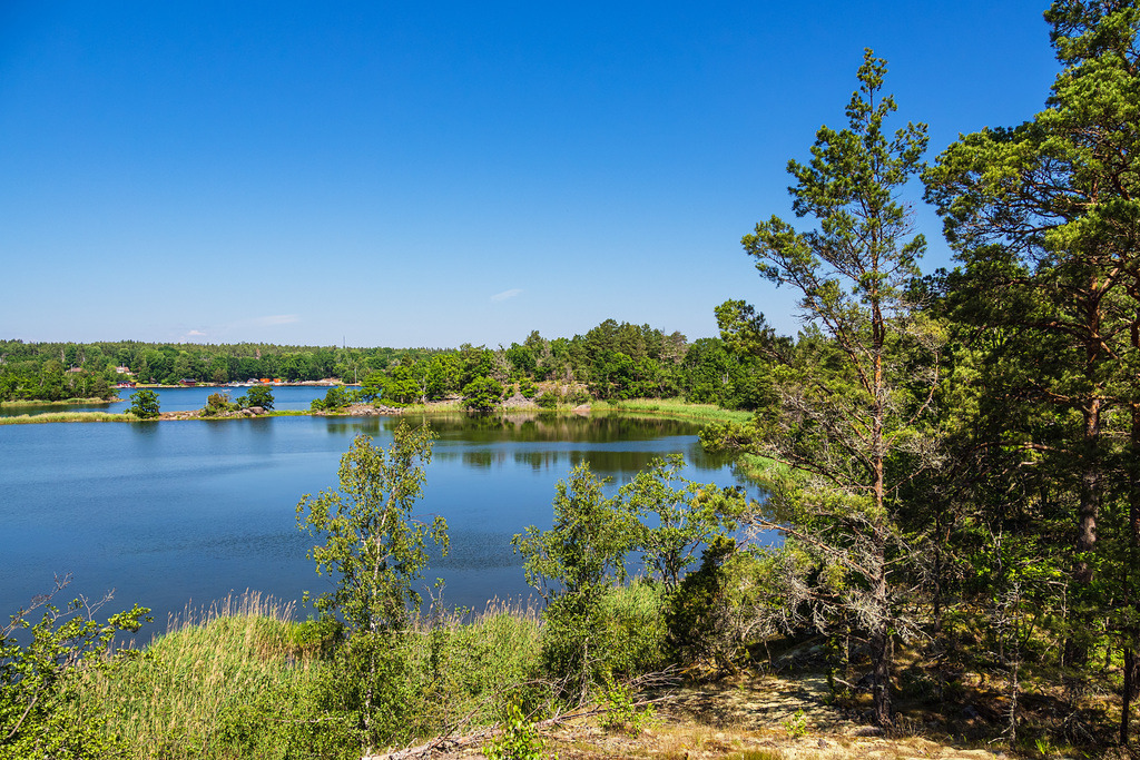 Ostseeküste mit Bäumen auf der Insel Uvö in Schweden | Ostseeküste mit Bäumen auf der Insel Uvö in Schweden.