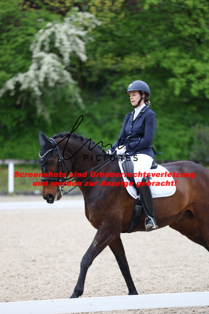 A40A0786 | lmwpictures - Realisiert mit Pictrs.com