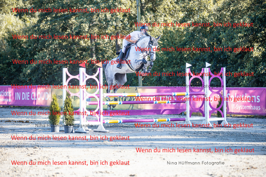 BK1A6212 | Turnierbilder Turnierfotos Nina Hüffmann Turnierfotografie Pferdefotografie Tierzeichnung Haustierzeichnung Pferdezeichnung Hundezeichnung Videograf  - Realisiert mit Pictrs.com