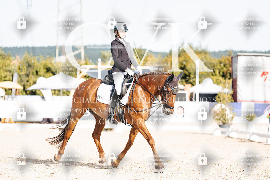 CK905129 | Turnierfotografie Pferdefotografie Trier Rheinland-Pfalz Pferdesport Reitsport Tierfotografie Sportfotografie Pferdevideo Pferdevideografie Equestrianvideography equestrianphotography  - Realisiert mit Pictrs.com