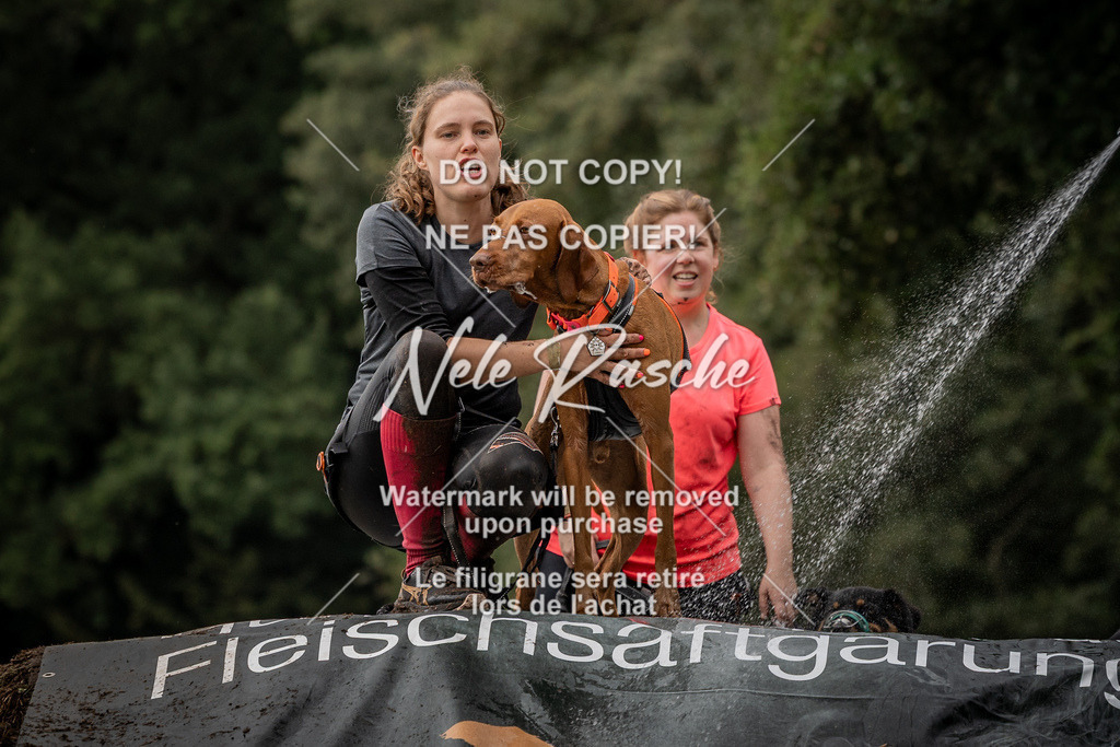 nelerasche_Wingst_Sa1300-1330_151 | nelerasche