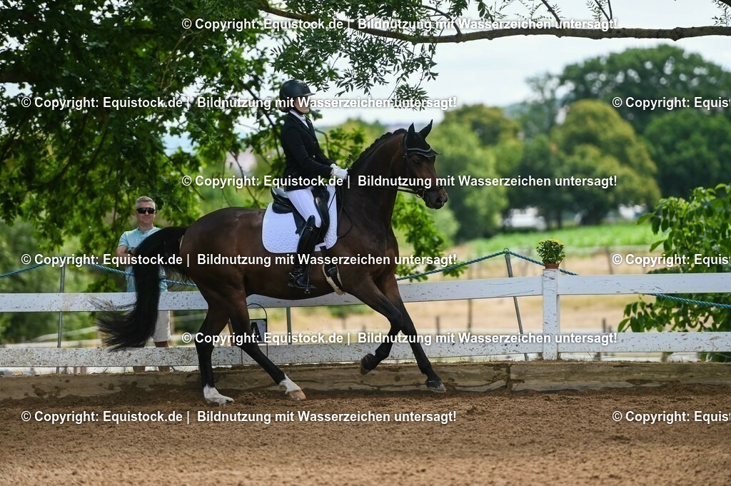 20230716_03_Dressurprfg. Kl.L - Tr._0454 | equistock