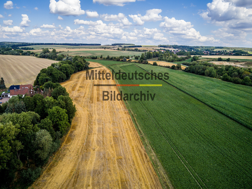 innerdeutsche Grenze Grünes Band Hohnsleben-0011 | Die innerdeutsche deutsch-deutsche Grenze, das Grüne Band - Realisiert mit Pictrs.com