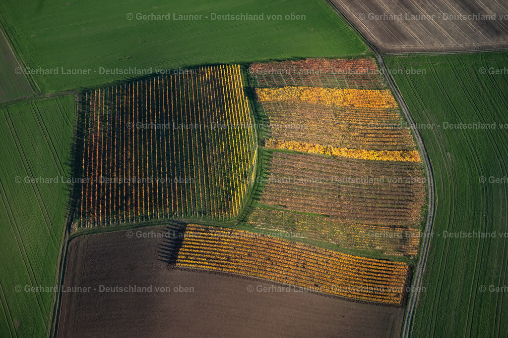 4042796 | Weinberge bei Michelau i.Steigerwald, Weinlage Köhler