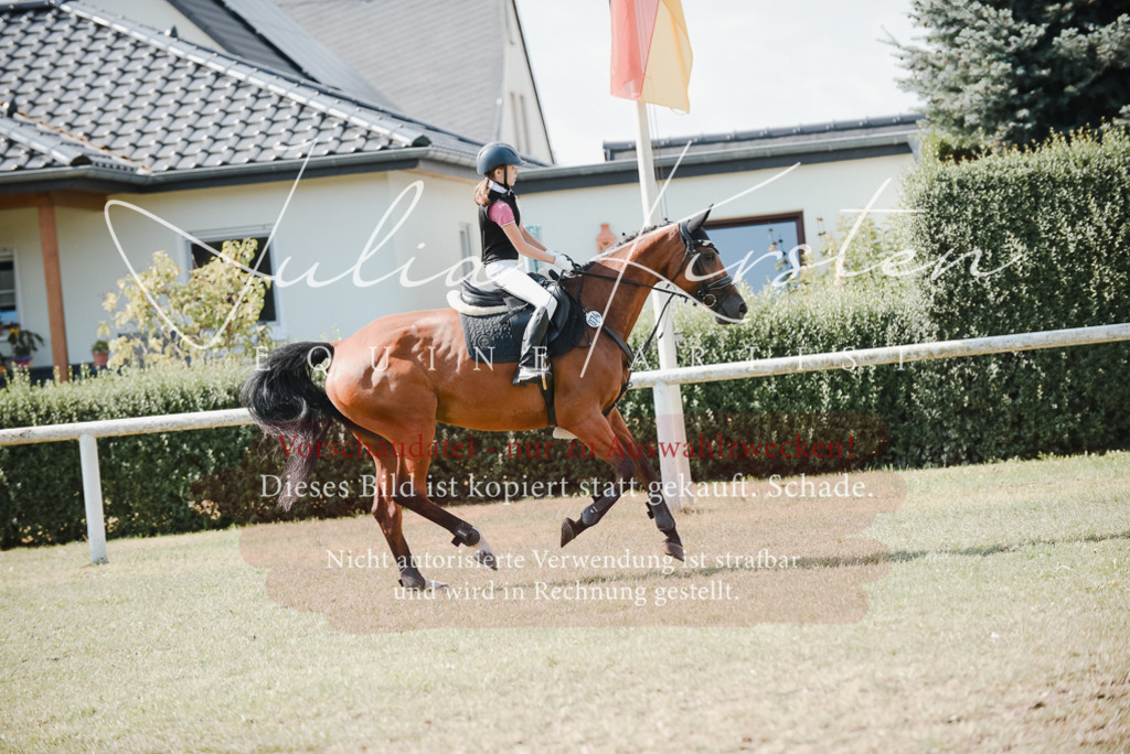 DSC_5395 | Pferde- und Turnierfotografie in Westsachsen. Pferdeportraits, Auftragszeichnungen und intuitive Kunst.
