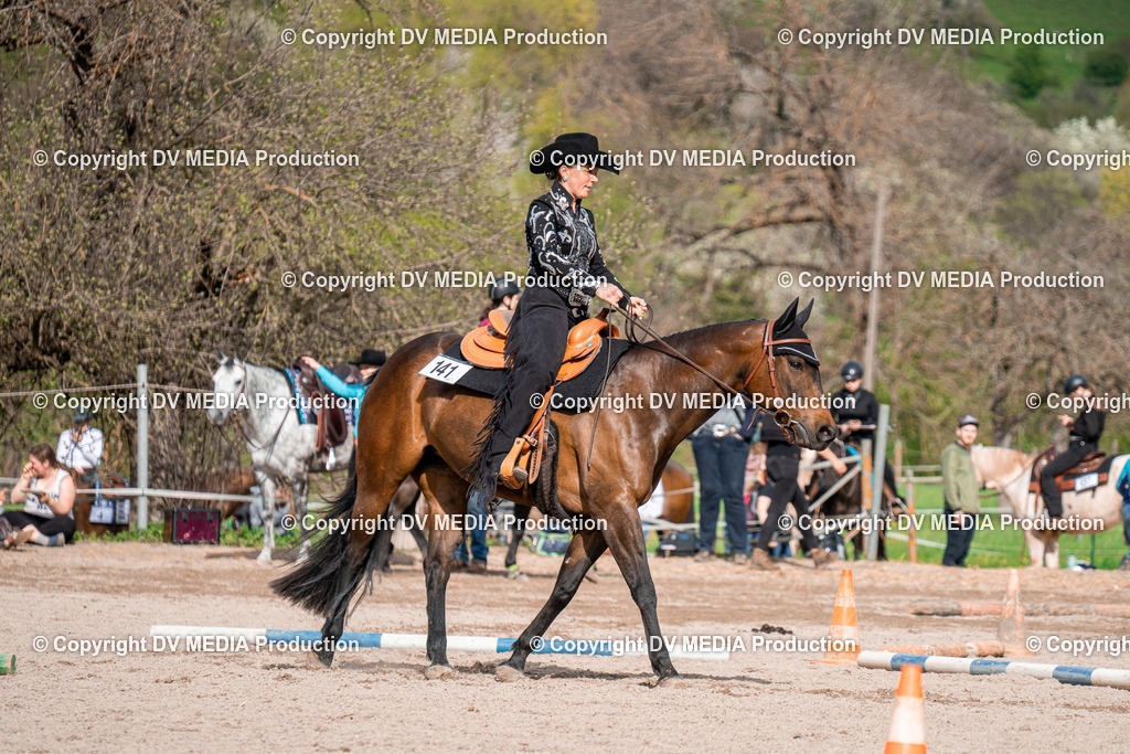 BAL02763 | dv-media-shop - Realisiert mit Pictrs.com