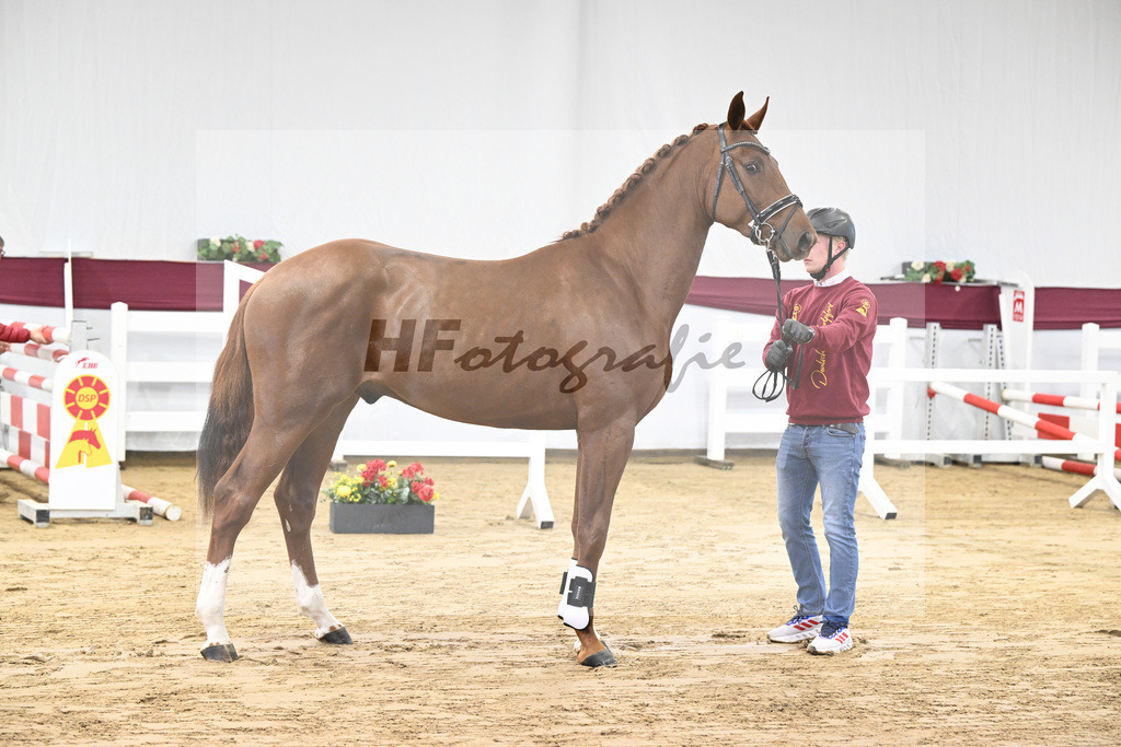 Kat-Nr. 82 Orient Express ES x Dibadu L_Markus Denzel_47252602 | hf-fotografie - Realisiert mit Pictrs.com