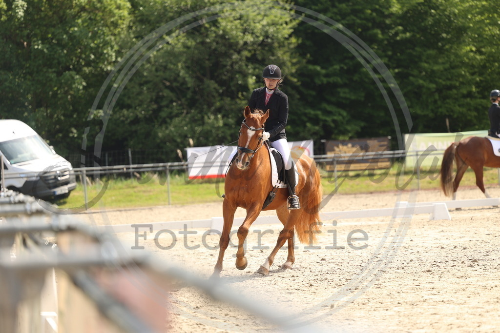 994A6662 | sabrinanicolaifotografie - Realisiert mit Pictrs.com