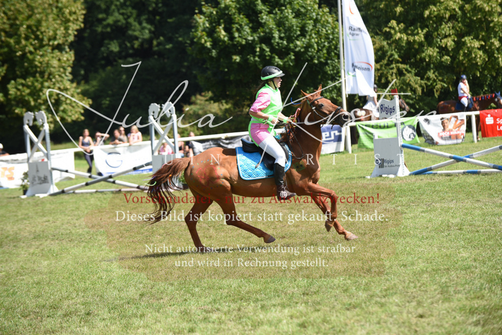 DSC_0420 | Pferde- und Turnierfotografie in Westsachsen. Pferdeportraits, Auftragszeichnungen und intuitive Kunst.