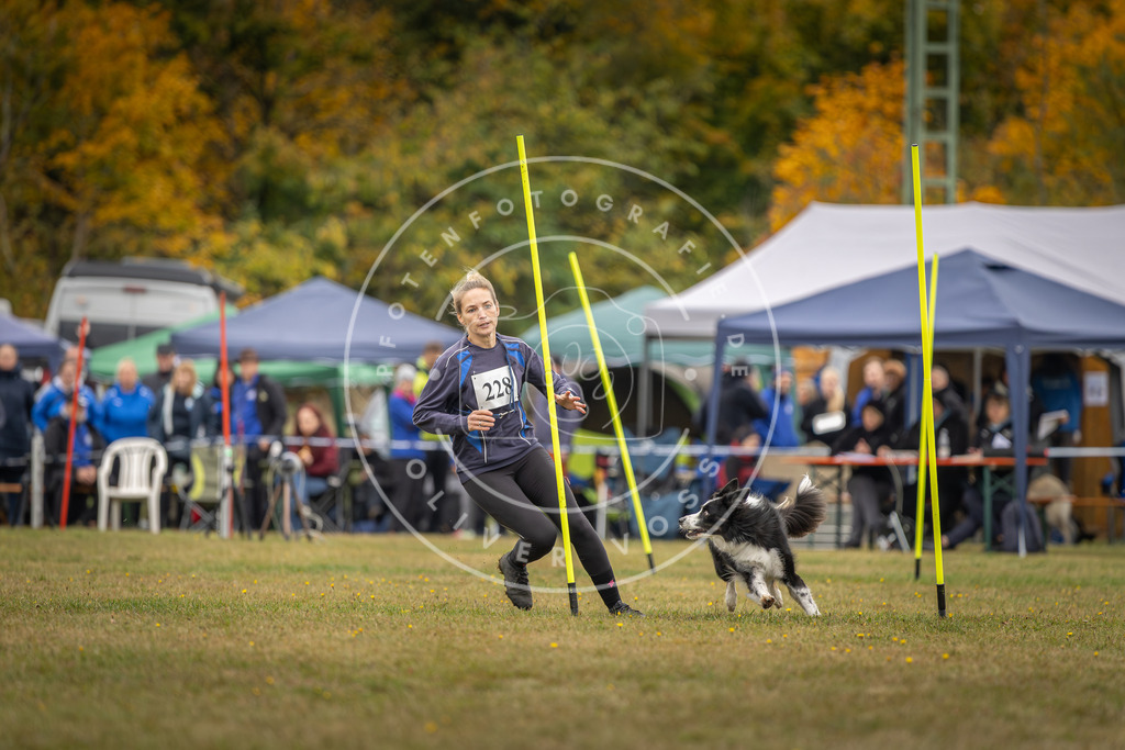Pfotenfotografie_DV3A4053 | Hundefotografie, Tierfotograf, Pfotenfotografie, Fotoshooting Hund, Hunde Portrait, Hundesport, Hundeportraits, Heideshooting, Hunde, Sportfotograf, Hundefotograf, Turnierhundsport, THS,  - Realisiert mit Pictrs.com