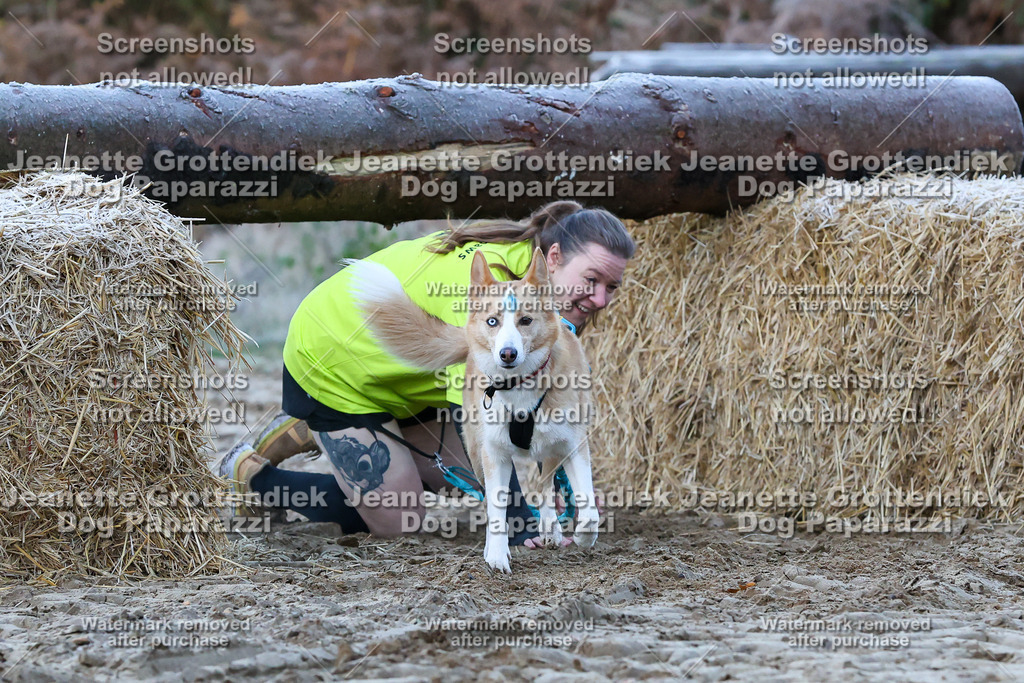 Dog Paparazzi - Strongdog 10-25-140 | Dog Paparazzi Jeanette Grottendiek Fotografie & Videografie - Realisiert mit Pictrs.com